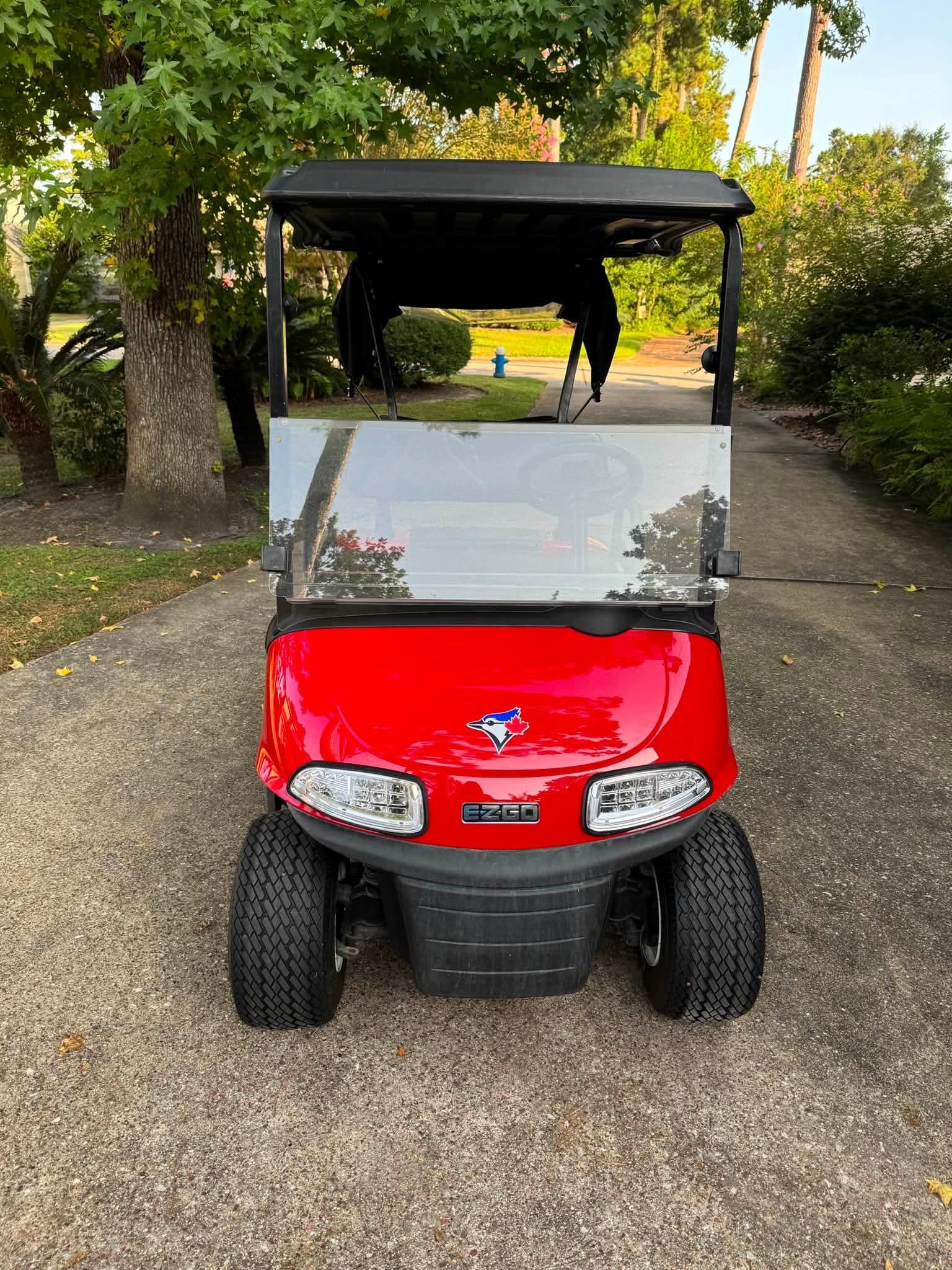 2017 E-Z-GO RXV Golf Cart 2 SEATER ELECTRIC - Image 4